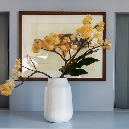 Appartamento Isola Bella - Via Del Voltone Stresa